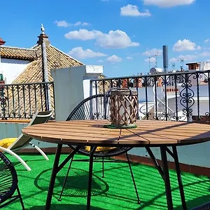  Apartment Hostly Orfila 3a-3b Exclusive Penthouse-center-fibre-parking Optional Spanien